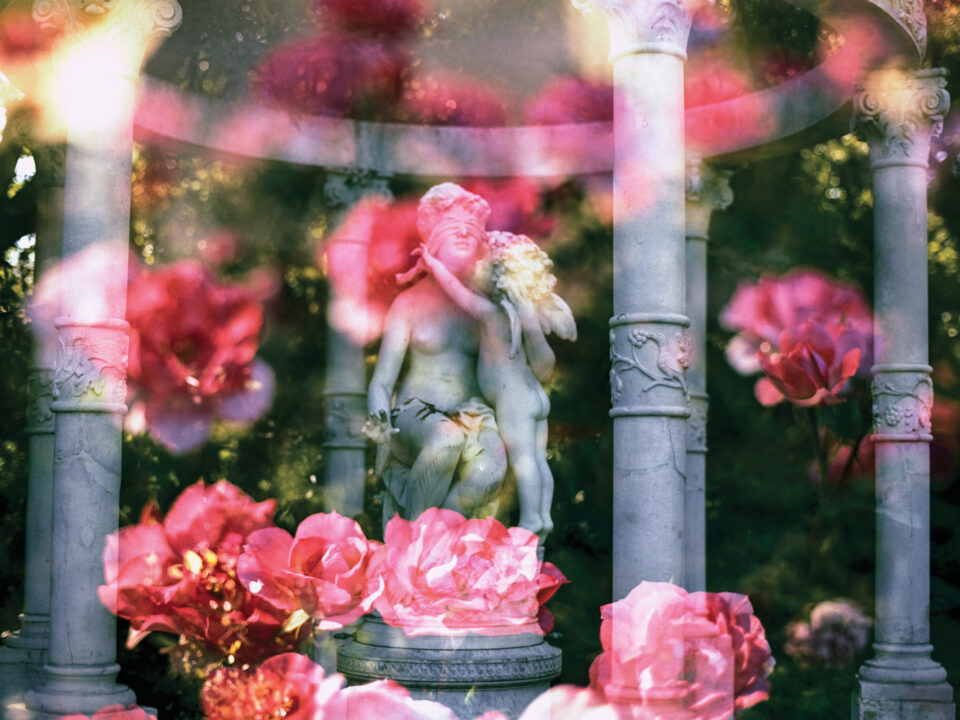 Analogue dreamscapes