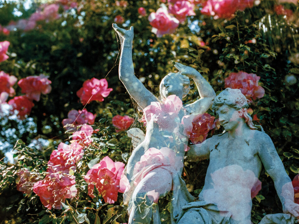 Analogue dreamscapes