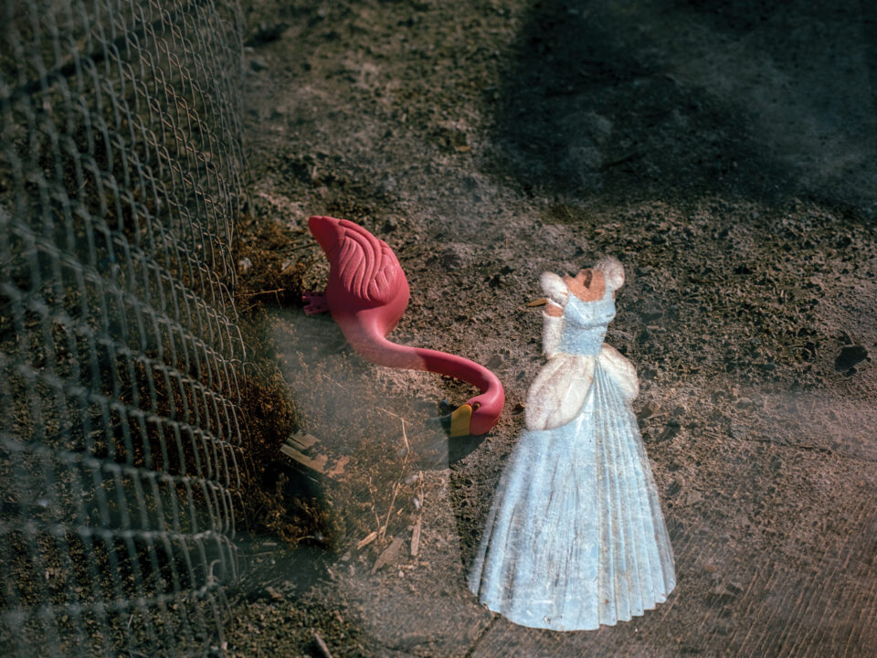 Analogue dreamscapes