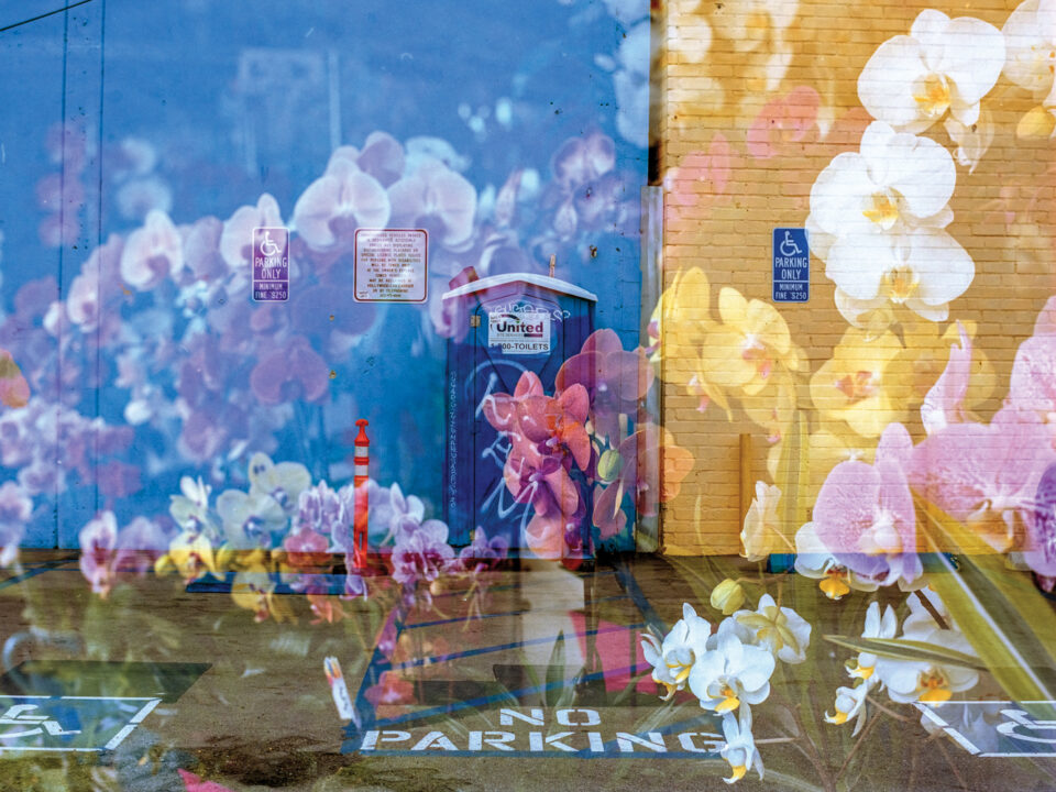 Analogue dreamscapes